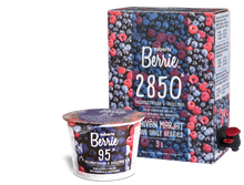 将图片加载到图库查看器,野生蓝莓&树莓